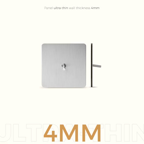 Interrupteur 1 Levier - Argent Mat